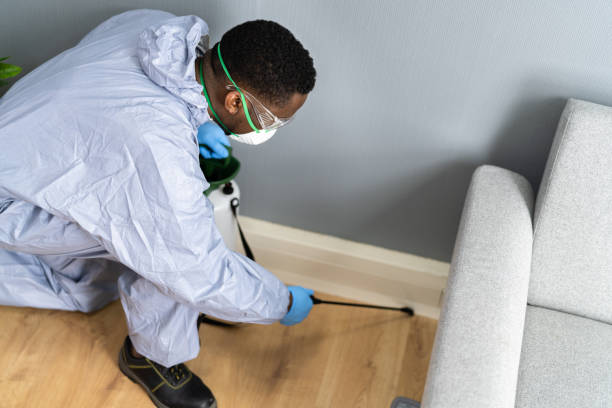 Best Bed Bug Extermination  in Robbins, NC